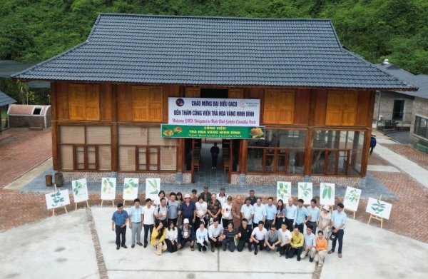 Khách quốc tế “mãn nhãn” với Công viên Trà hoa vàng ở Ninh Bình