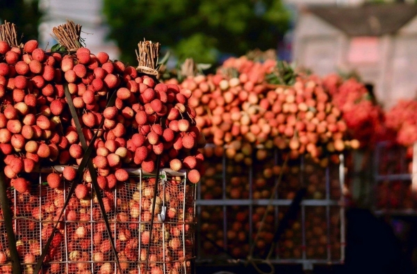 Hỗ trợ kết nối, giới thiệu sản phẩm nông nghiệp đặc trưng, OCOP tỉnh Bắc Ninh, Phú Thọ