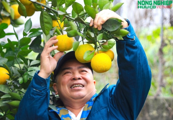 Nghệ An tổ chức sự kiện kết nối cung cầu, quảng bá sản phẩm nông nghiệp năm 2025