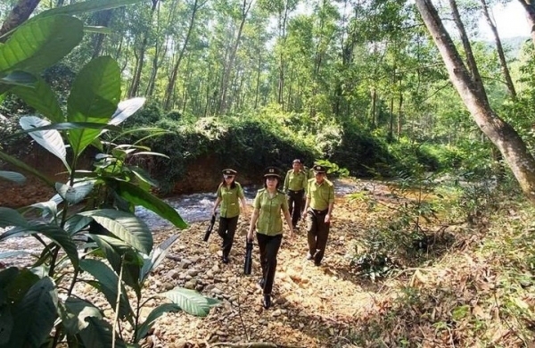 Gia Lai tiên phong đón "sóng xanh" của Châu Âu, mở đường cho cà phê, cao su xuất khẩu
