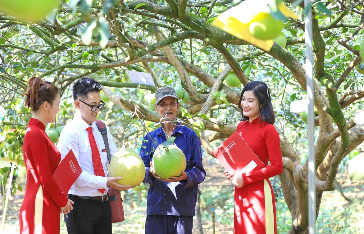 Agribank thúc đẩy phát triển bền vững với chương trình ưu đãi “xanh”