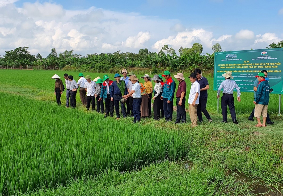 Hỗ trợ 100% lãi suất vay vốn khi đầu tư làm nông nghiệp hữu cơ, nông nghiệp công nghệ cao