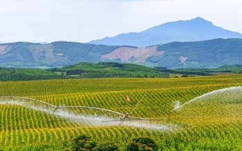 Bức tranh thiên nhiên ngút tầm mắt chỉ có ở nơi sản xuất sữa tươi sạch TH true MILK