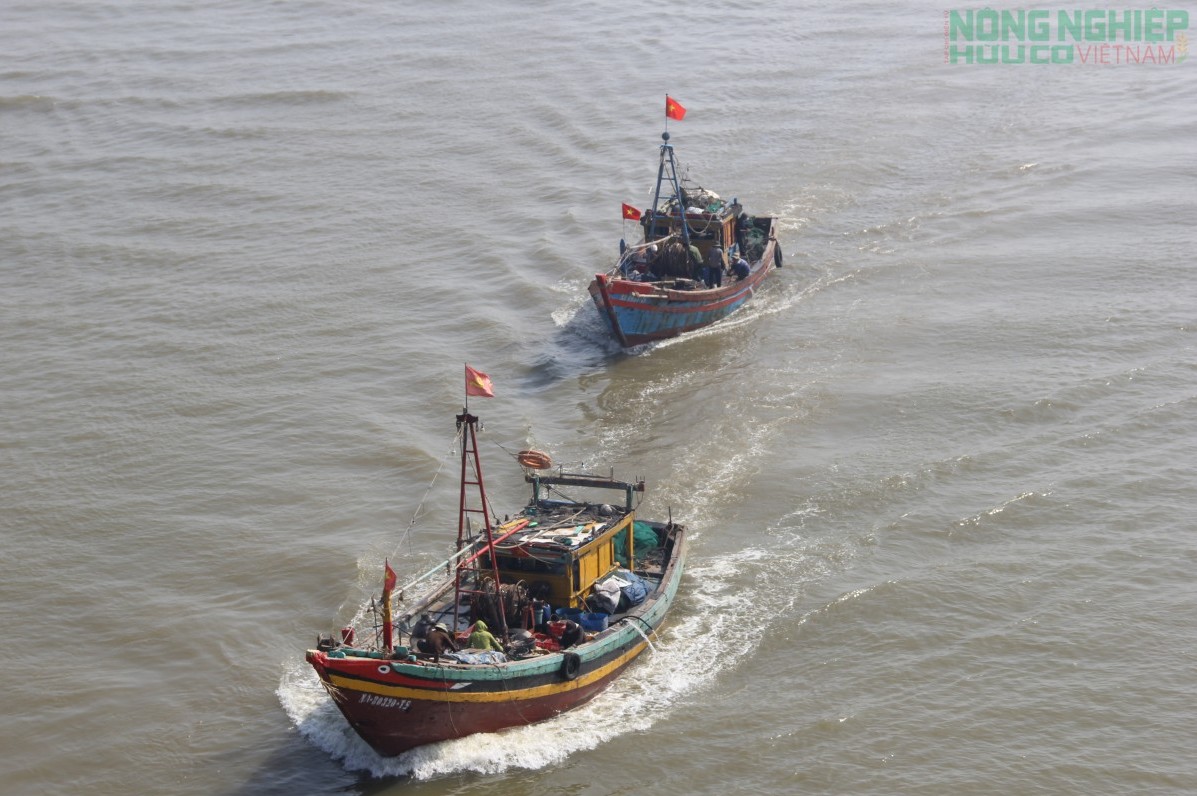 Nghệ An cấm biển, chủ động ứng phó với bão số 10 - Bualoi