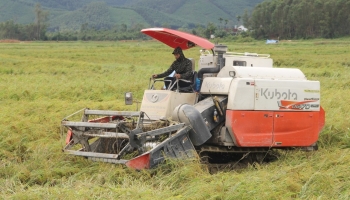 Nghệ An chủ động phòng tránh, ứng phó kịp thời, không để bị động bất ngờ với thiên tai