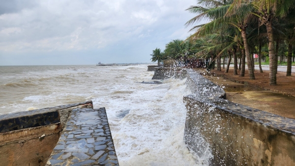 Thanh Hóa:  Khẩn trương di dân và thu hoạch mùa màng để tránh bão