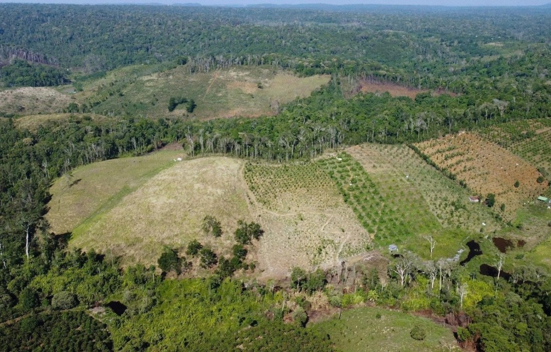 Lâm Đồng: Xử phạt hơn 300 triệu đồng đối với cá nhân lấn chiếm đất nông nghiệp tại xã Tuy Đức
