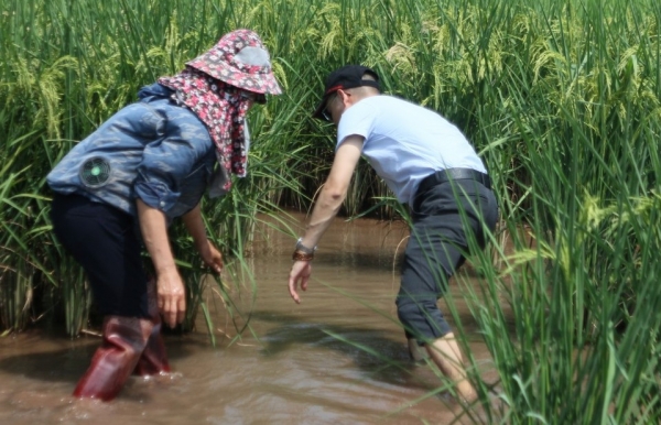 Hành trình chuyển đổi nông nghiệp truyền thống sang nông nghiệp hữu cơ
