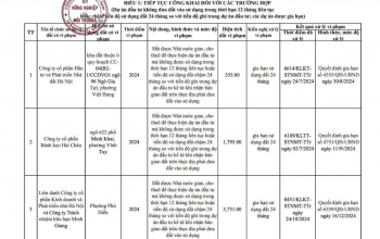 Hà Nội công khai 17 dự án chậm tiến độ sử dụng đất