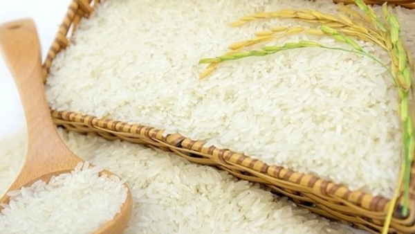 “Xanh hóa” việc trồng lúa - Hướng đi bền vững cho gạo Việt