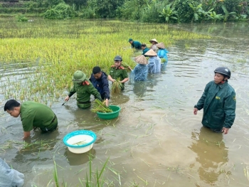 Thủ tướng yêu cầu huy động tối đa lực lượng khắc phục nhanh nhất hậu quả bão, mưa lũ