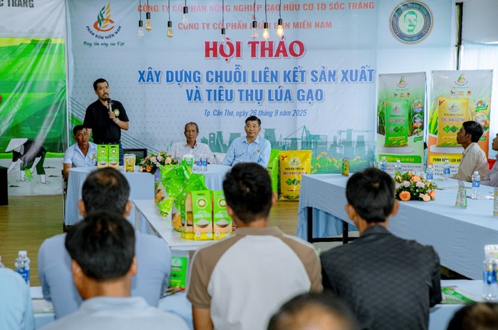 Xây dựng chuỗi liên kết sản xuất và tiêu thụ để nâng tầm giá trị gạo Việt