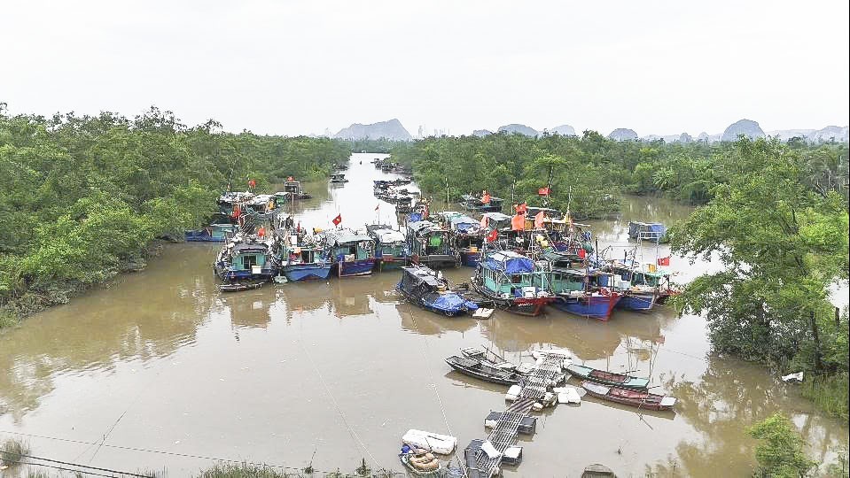 Quảng Ninh: Tập trung, chủ động ứng phó với bão số 11