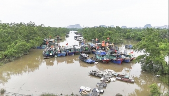 Quảng Ninh: Tập trung, chủ động ứng phó với bão số 11