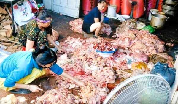 Nghệ An: Hãi hùng hàng tạ mỡ lợn không rõ nguồn gốc, vi phạm an toàn thực phẩm