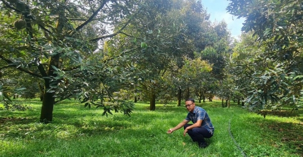 Nông nghiệp chuyển mình mạnh mẽ, hướng tới kinh tế xanh và bền vững