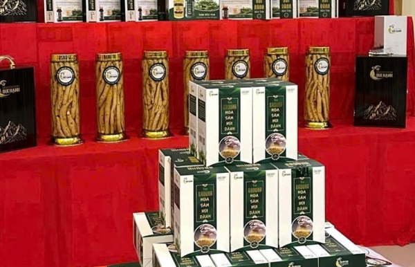 Bí quyết giám sát và quản lý hiệu quả tiêu chuẩn hữu cơ