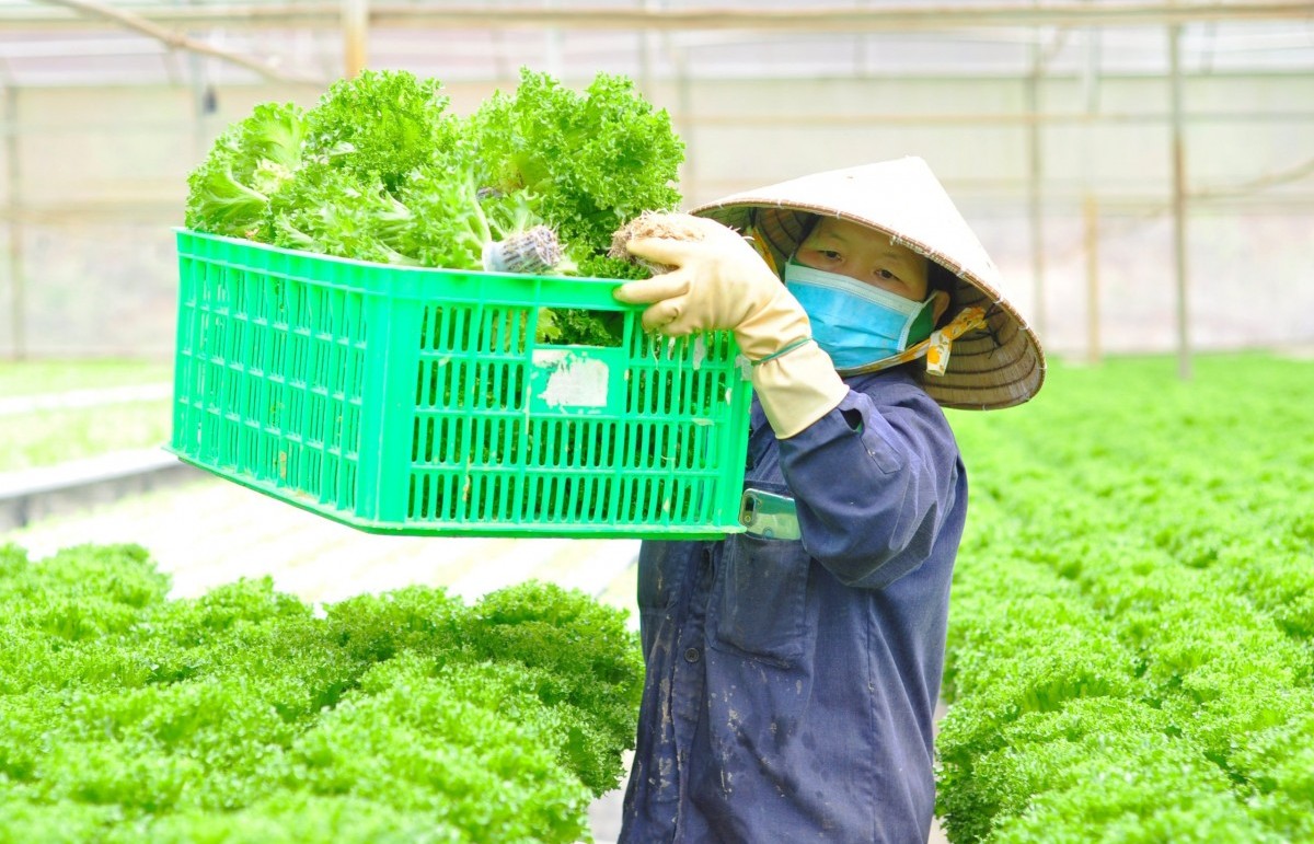 Bổ sung chính sách tín dụng nhằm thúc đẩy nông nghiệp hữu cơ, tuần hoàn