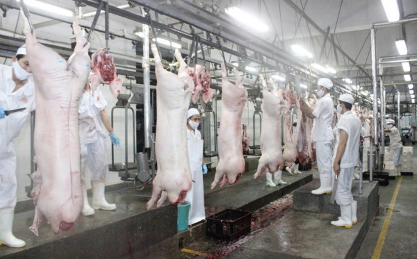 Xử phạt trường hợp vi phạm lưu giữ động vật chứa chất cấm sử dụng trong chăn nuôi, nuôi trồng thủy sản