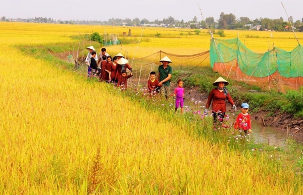 Nông nghiệp sinh thái là cách chúng ta lắng nghe và tôn trọng thiên nhiên