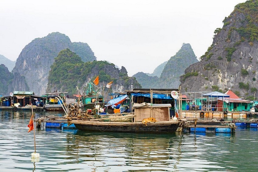 Hải Phòng dỡ bỏ lệnh cấm hoạt động cửa sông, ven biển sau khi bão số 11 suy yếu