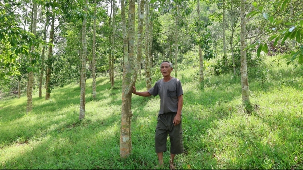 Dự án tạo sinh kế giúp dân thoát nghèo và giảm áp lực phụ thuộc vào tài nguyên rừng