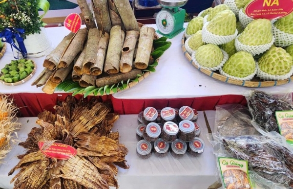 Hội thi trưng bày "Gian hàng đẹp" nhân dịp Kỷ niệm 130 năm ngày Thành lập tỉnh Sơn La hút du khách