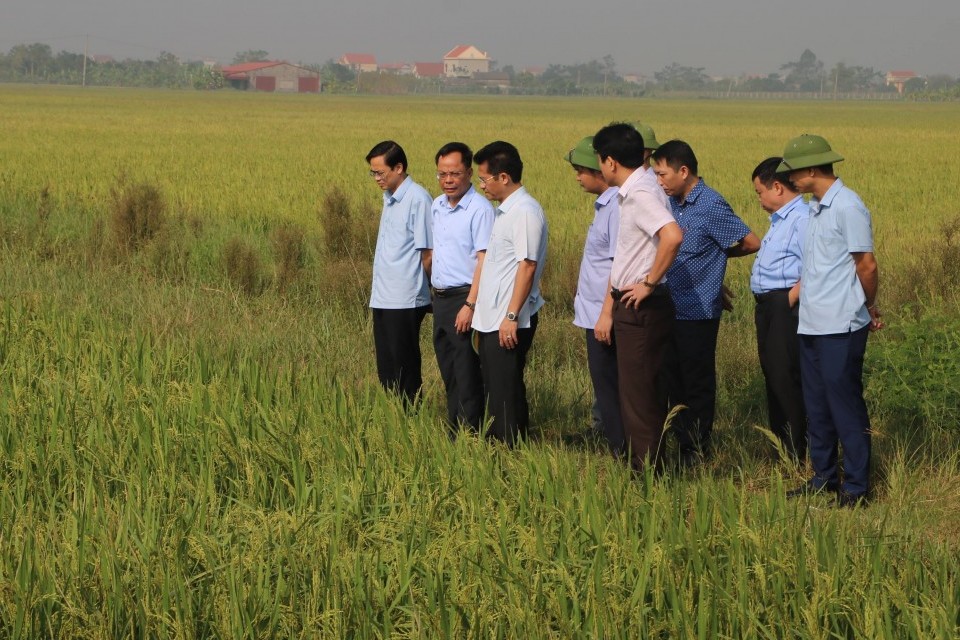 Ninh Bình: Lãnh đạo tỉnh kiểm tra tình hình sản xuất vụ Mùa và triển khai sản xuất vụ Đông Xuân