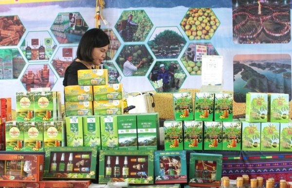 Doanh nghiệp, HTX và Nông dân: "Tam giác trụ cột" trong phát triển Nông nghiệp hữu cơ