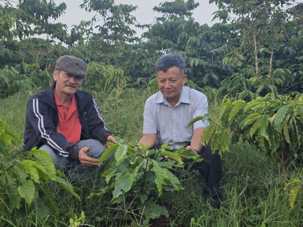 Câu chuyện ông giáo hưu trí trở thành "lão nông" Việt Nam xuất sắc