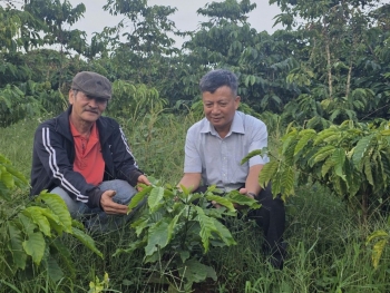 Câu chuyện ông giáo hưu trí trở thành "lão nông" Việt Nam xuất sắc