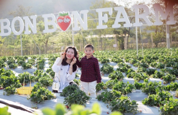 Bon Bon Farm - Mô hình nông nghiệp gắn với du lịch trải nghiệm tiêu biểu trên cao nguyên Mộc Châu