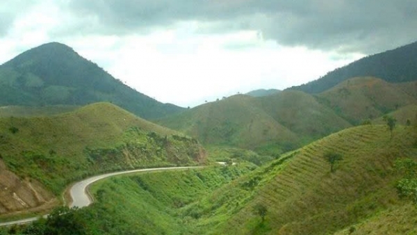 Khánh Hoà: Tăng cường công tác quản lý, bảo vệ rừng và đất rừng trên địa bàn tỉnh