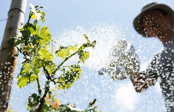 Nước sạch là nền tảng cho sức khỏe cộng đồng và nông nghiệp xanh