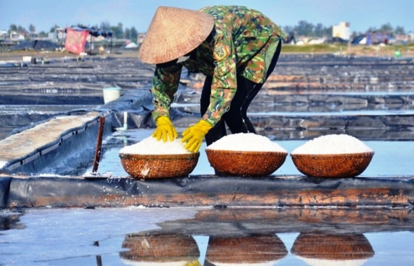 Quảng Ngãi: Muối Sa Huỳnh – Bảo tồn nghề truyền thống gắn với du lịch OCOP