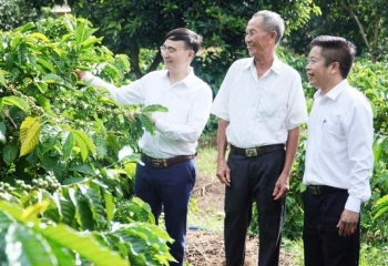 Hoàn thiện hệ thống khuyến nông quốc gia theo mô hình chính quyền 2 cấp