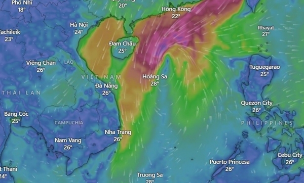 Tp. Huế ban hành công điện khẩn, chủ động ứng phó với bão số 12 (FENGSHEN) và mưa lớn kéo dài nhiều ngày
