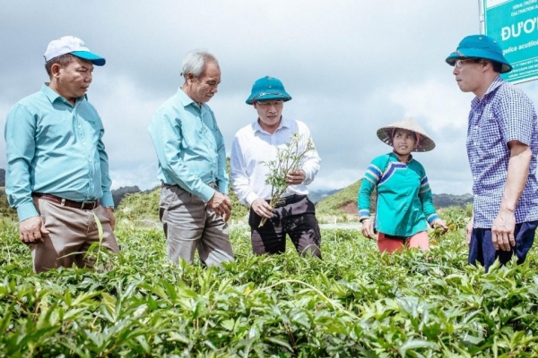 Đông dược và tân dược chung mục tiêu "xanh hóa" sản xuất