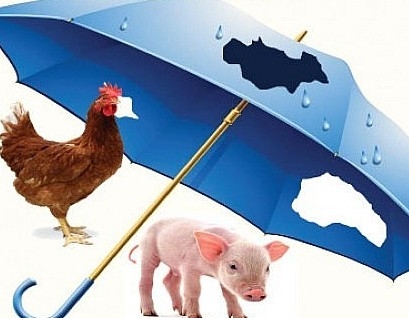 Làm thế nào để tăng độ phủ cho bảo hiểm nông nghiệp?