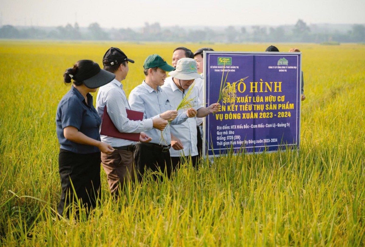 Giảm phát thải trong lĩnh vực trồng trọt - Bài 2: Kinh nghiệm quốc tế và bài học cho Việt Nam