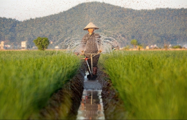 Ngành trồng trọt đặt mục tiêu đến năm 2035 sẽ góp phần giảm ít nhất 15% lượng phát thải khí nhà kính