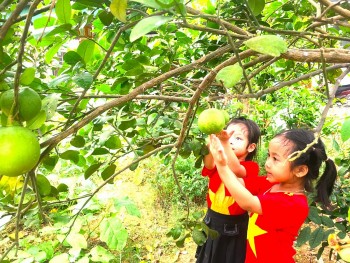 Giảm phát thải trong lĩnh vực trồng trọt -Bài 1: Tính cấp thiết để phát triển nông nghiệp bền vững