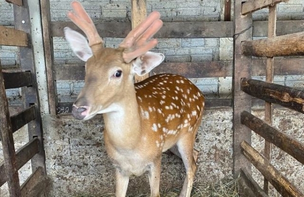 Hà Tĩnh: Thành công với chương trình giảm nghèo bền vững