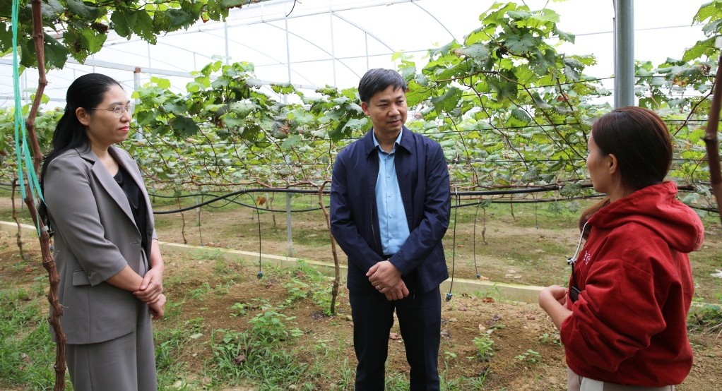 Quảng Ninh: Kiểm tra tình hình sản xuất nông nghiệp tại các xã Đầm Hà và Bình Liêu