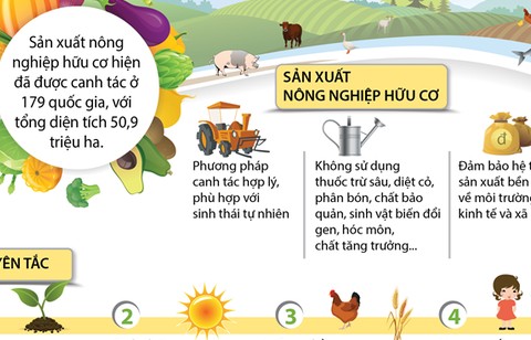 Nguyên tắc về sự công bằng: Xây dựng một hệ thống bền vững và nhân văn trong sản xuất hữu cơ