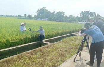 Giảm phát thải trong lĩnh vực trồng trọt - Bài cuối: Truyền thông dẫn dắt và lan tỏa tri thức phát triển nông nghiệp xanh