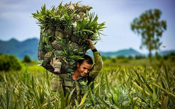 Ninh Bình đặt mục tiêu có thêm 20 sản phẩm OCOP được công nhận 3 sao trở lên trong năm 2025