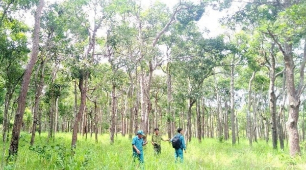 Lâm Đồng triển khai Quy chế phối hợp trong công tác quản lý, bảo vệ rừng và đất lâm nghiệp