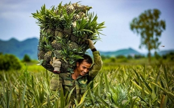 Ninh Bình đặt mục tiêu có thêm 20 sản phẩm OCOP được công nhận 3 sao trở lên trong năm 2025