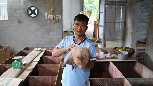 Chàng trai Mường “gác giấc mơ đại học” để làm kinh tế